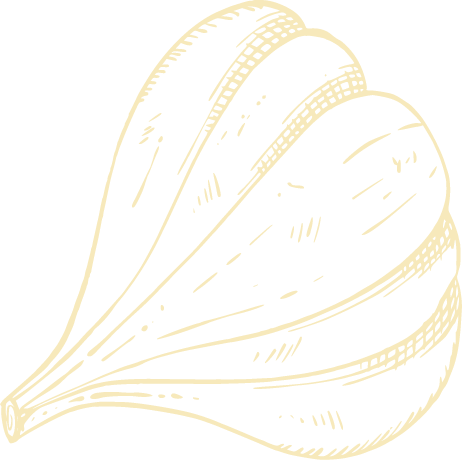 Forma decorativa de ajo