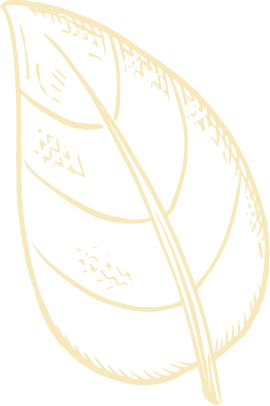 Forma decorativa de hoja