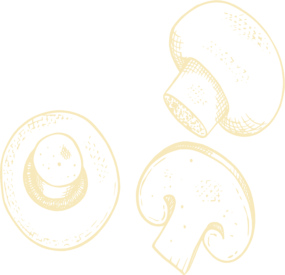 Forma decorativa de hongos
