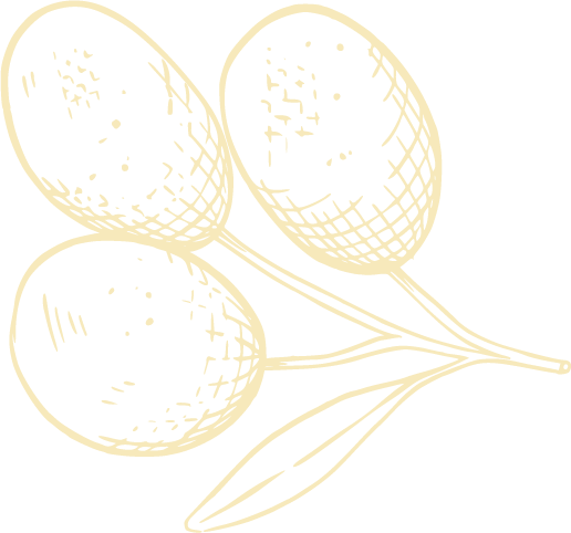 Forma decorativa de oliva